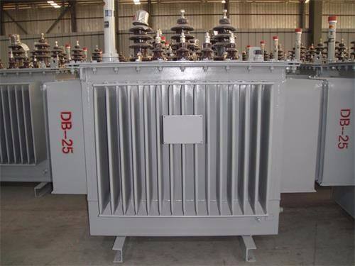 长沙S13-100KVA/10KV/0.4KV油浸式变压器